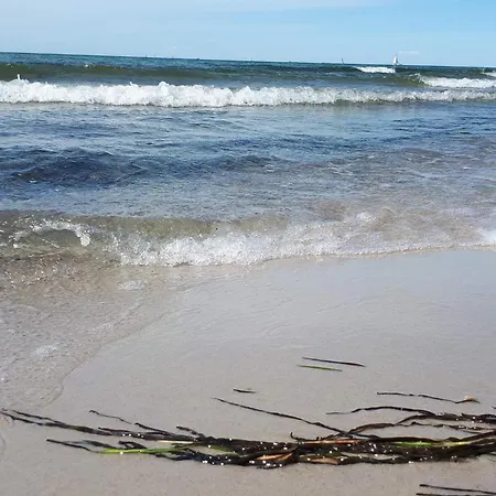 Appartement 5 Star In