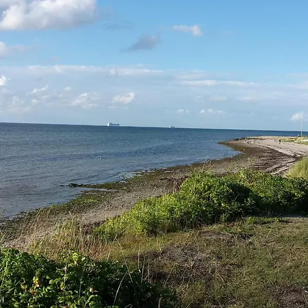 5 Star In Appartement