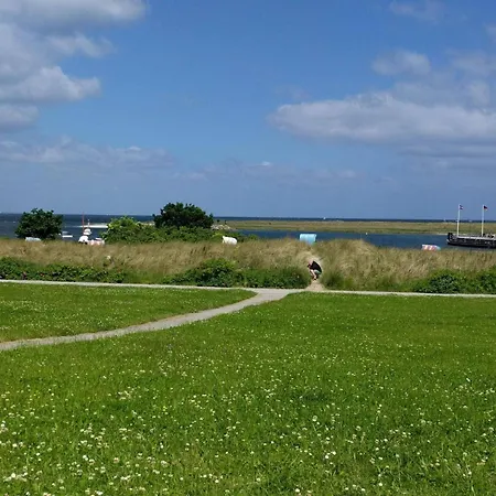 5 Star In Appartement Wendtorf